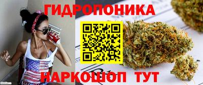 винт Шелехов