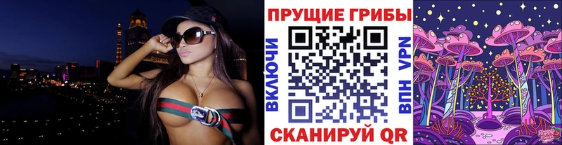 где купить наркотик Новоуральск OMG онион Псилоцибиновые грибы ЛСД