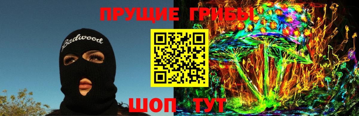 Псилоцибиновые грибы Psilocybe  Псилоцибиновые грибы мухоморы  Новоуральск  Вход с VPN 